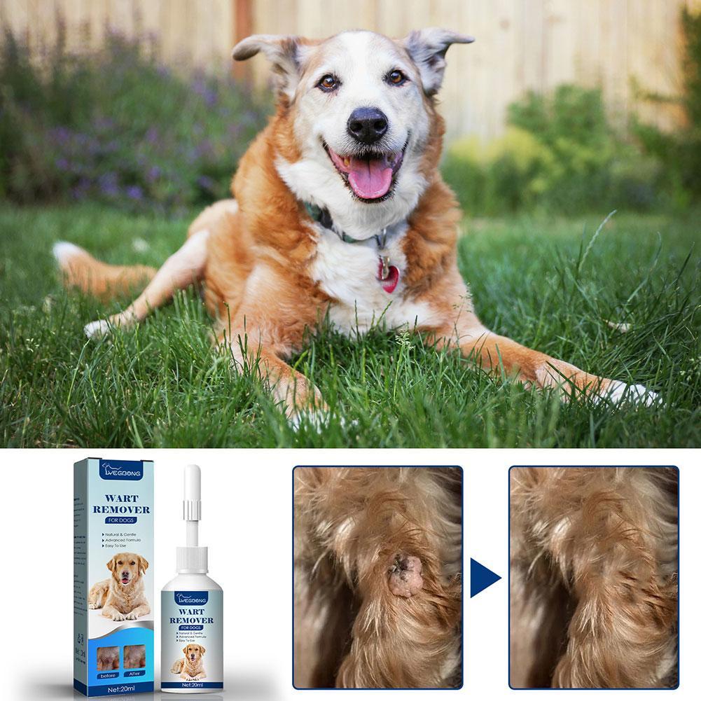 Pets Dog Wart Remover Natural  - Skincare Animate 评论和价格