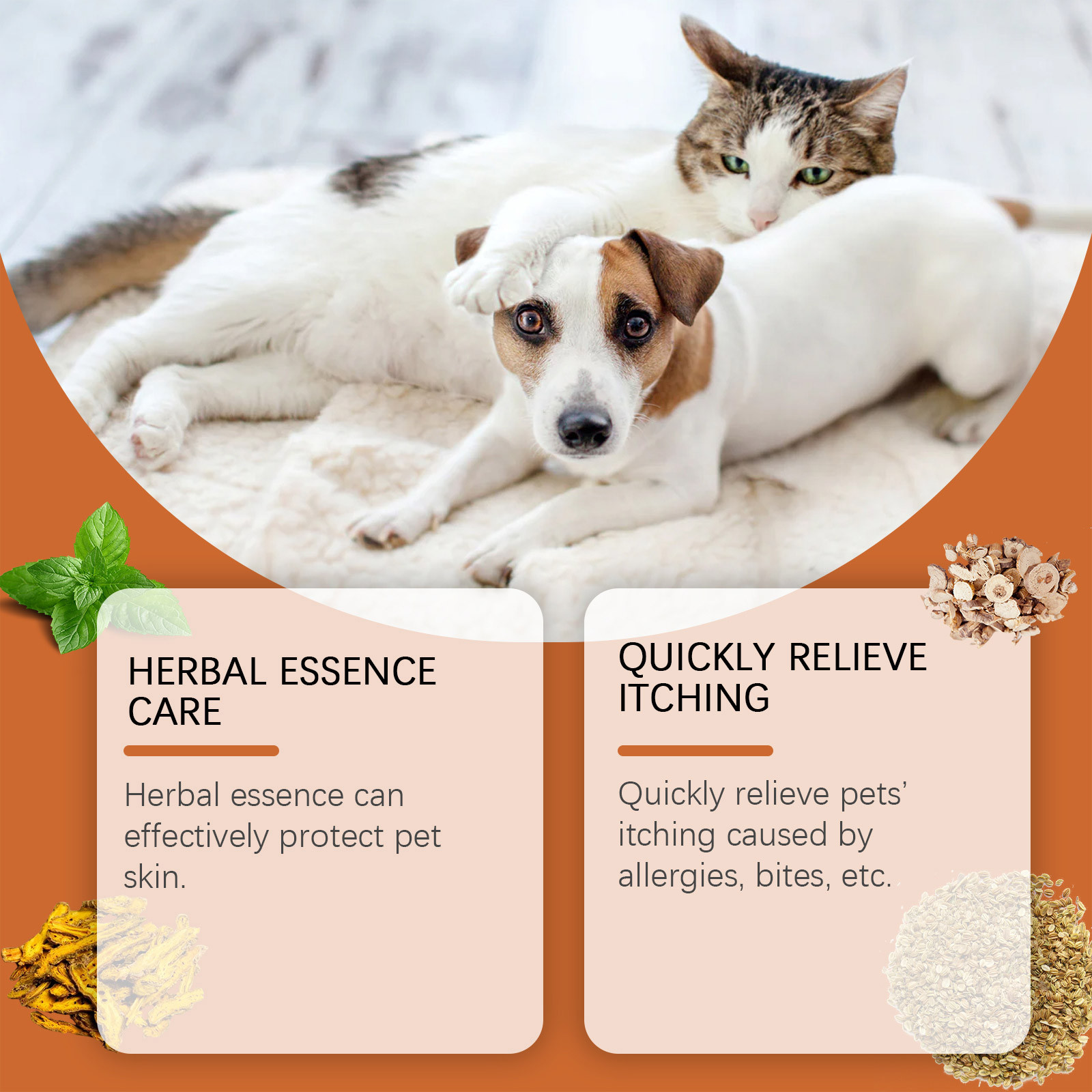 New Pet Antiitch Antiallergic  - Skincare Animate 评论和价格