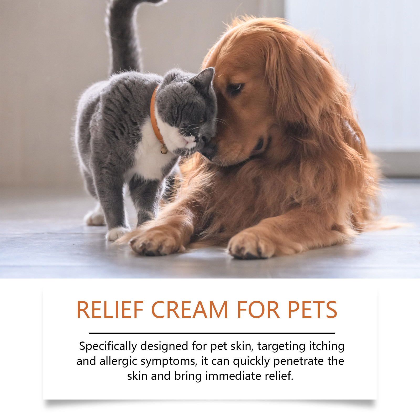 New Pet Antiitch Antiallergic  - Skincare Animate 评论和价格